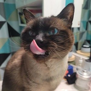 Meet your Posher, Posh